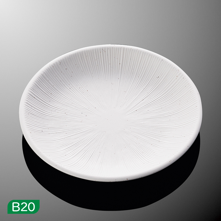 D281 KOH / 23cm平皿